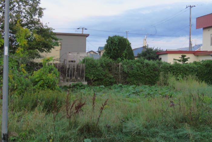 webnews�����̖k��