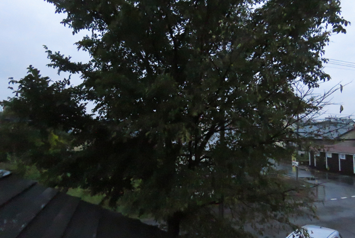 webnews�����̖k���^���̋�