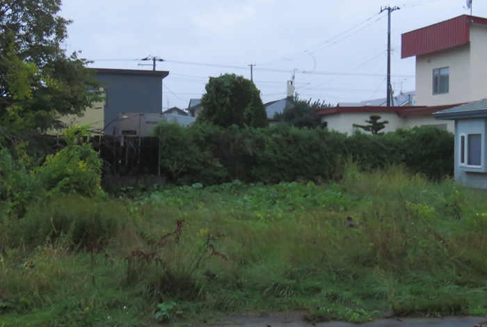 webnews�����̖k��