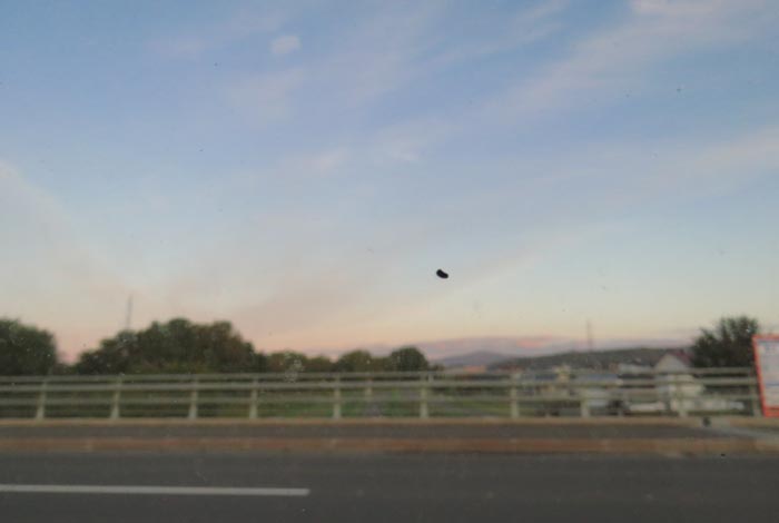 webnews�����̖k���^�����싴����m���R����