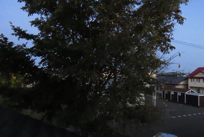 webnews�����̖k���^���̋�