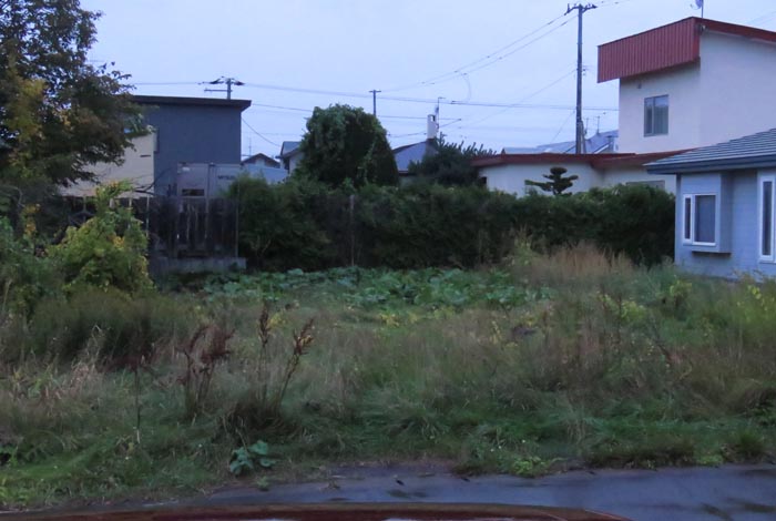 webnews�����̖k��