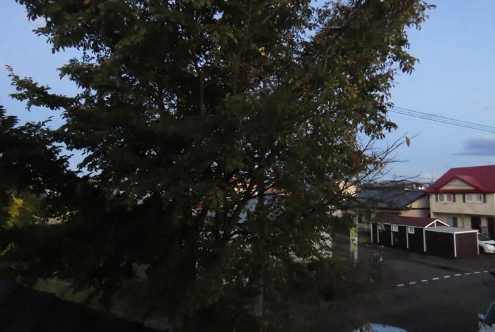 webnews�����̖k���^���̋�