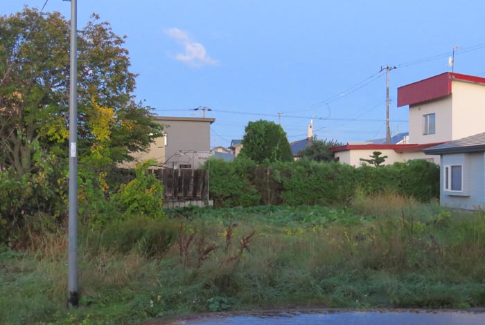 webnews�����̖k��