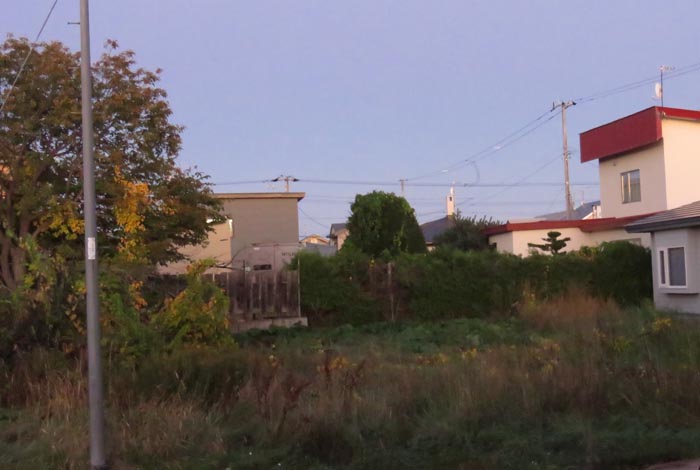 webnews�����̖k��