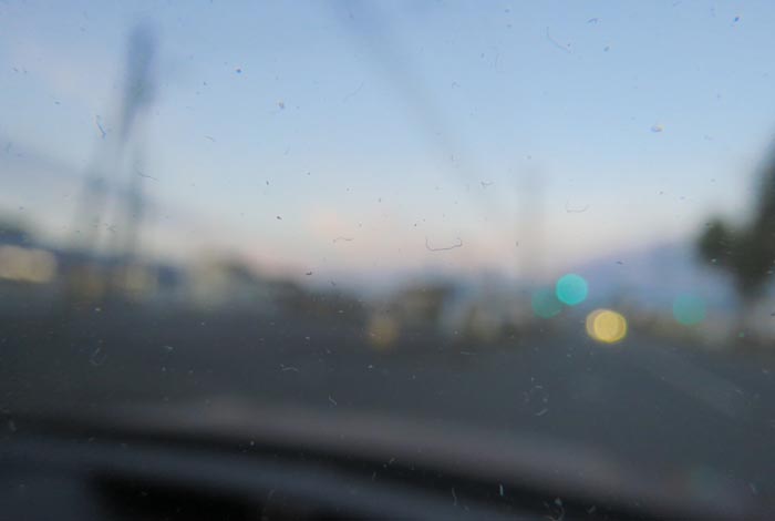 webnews�����̖k���^��ݒʂ�A���T���������_