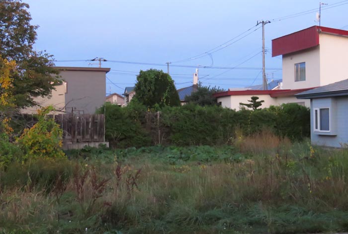 webnews�����̖k��