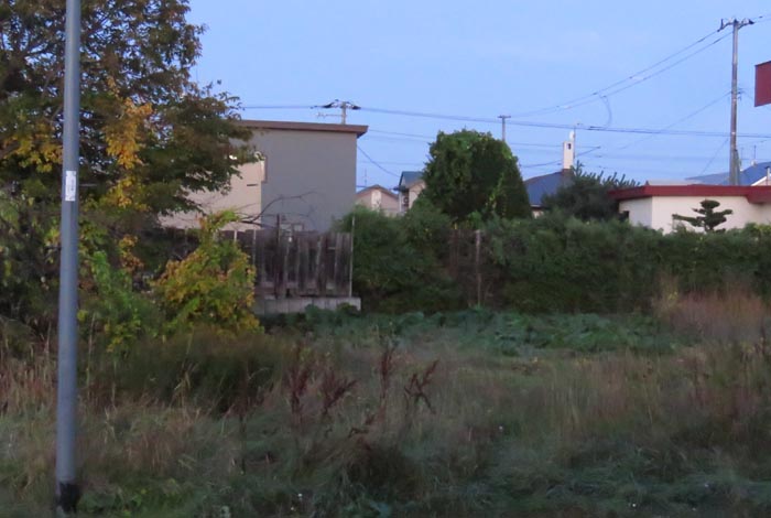 webnews�����̖k��