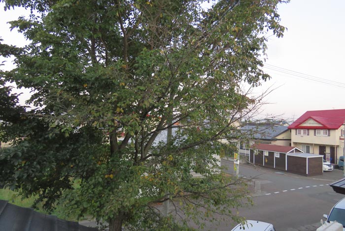 webnews�����̖k���^���̋�