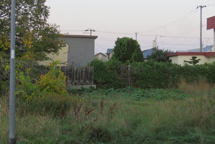 webnews�����̖k��