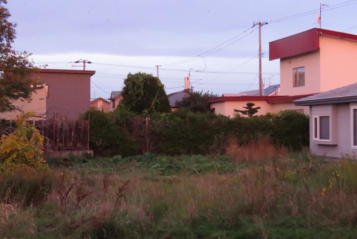 webnews�����̖k��