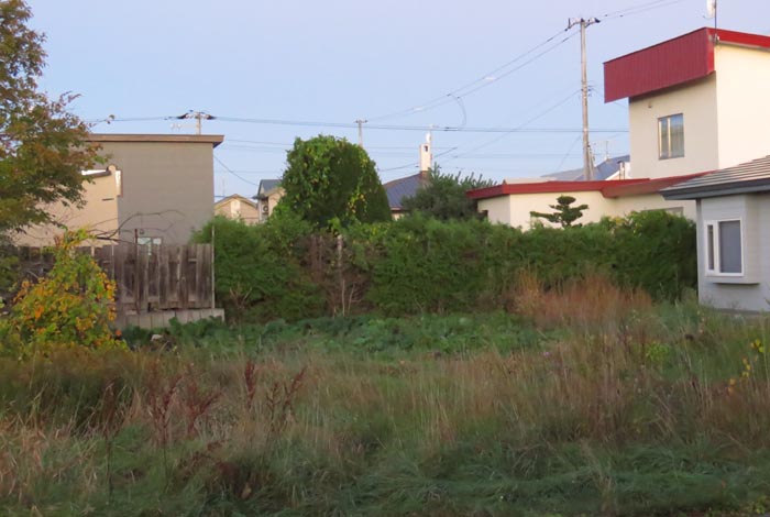 webnews�����̖k��