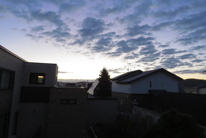 webnews�����̖k���^���̋�