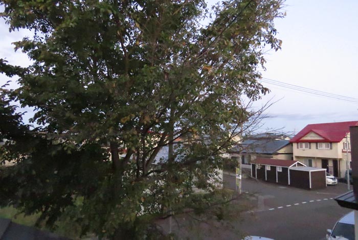 webnews�����̖k���^���̋�