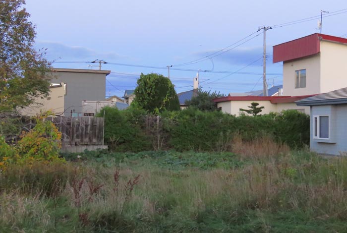 webnews�����̖k��