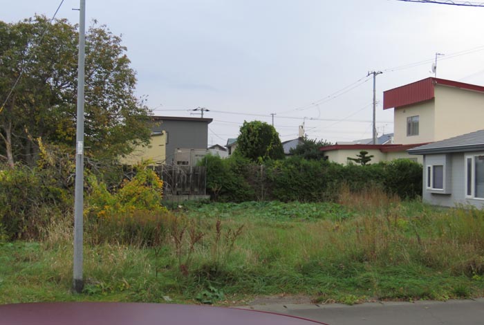 webnews�����̖k��