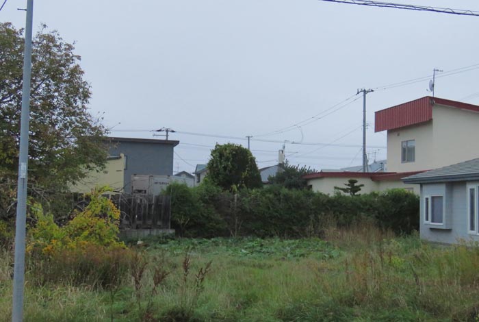 webnews�����̖k��