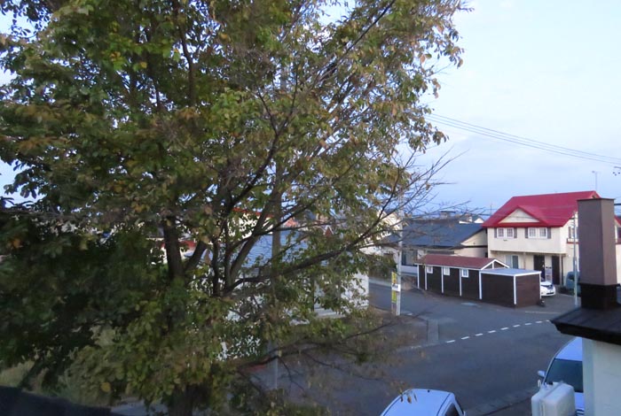 webnews�����̖k���^���̋�