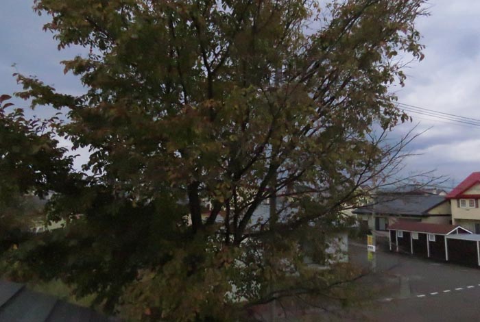 webnews�����̖k���^���̋�