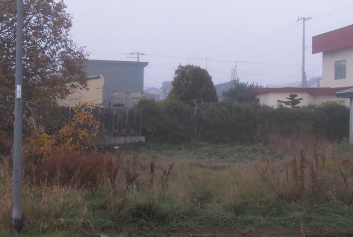 webnews�����̖k��