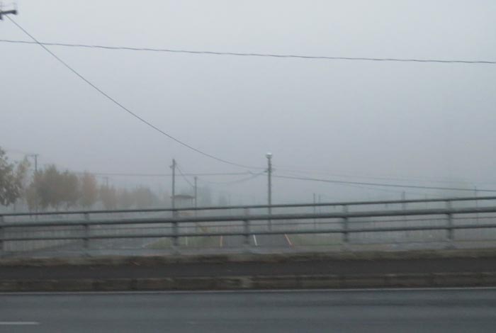 webnews�����̖k���^�m���R����ɂ͊J���ǂ̖������p�{�݂�����