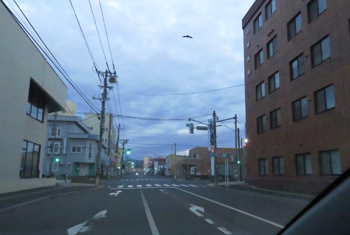 webnews�����̖k��