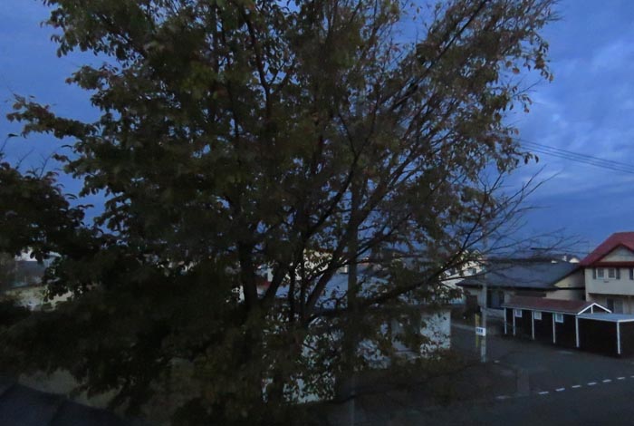 webnews�����̖k���^���̋�