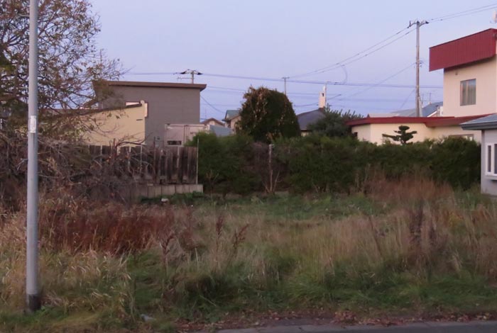 webnews�����̖k��