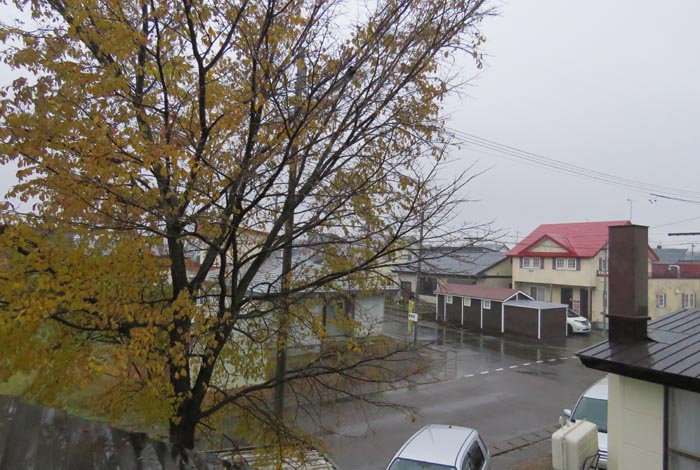 webnews�����̖k���^���̋�