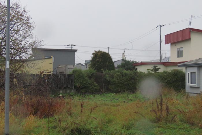 webnews�����̖k��