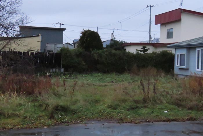 webnews�����̖k��