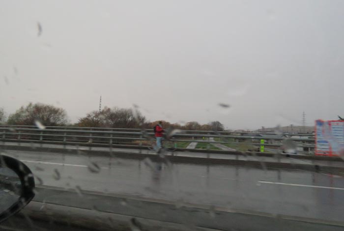 webnews�����̖k���^�����싴����m���R����