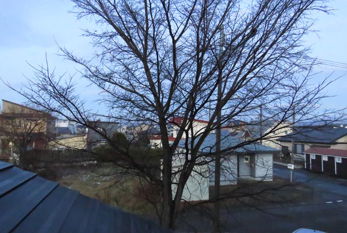 webnews�����̖k���^���̋�