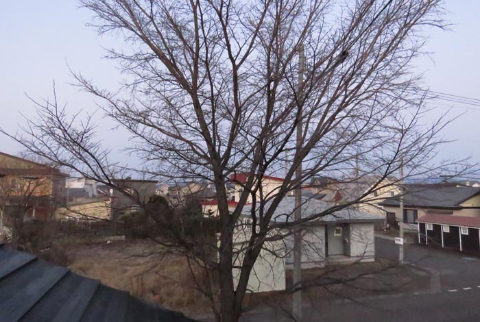 webnews�����̖k���^���̋�