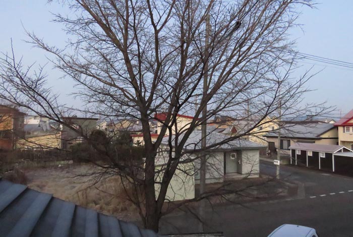 webnews�����̖k���^���̋�