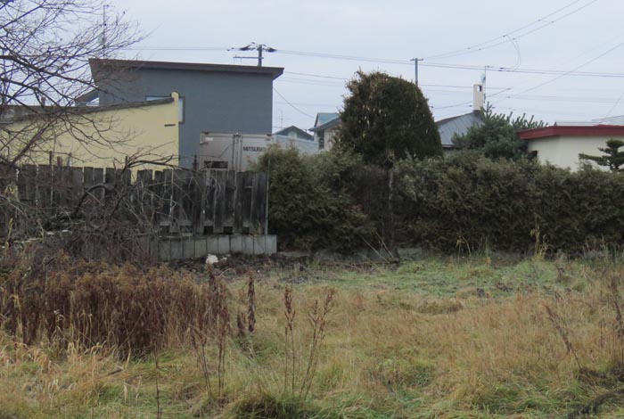 webnews�����̖k��