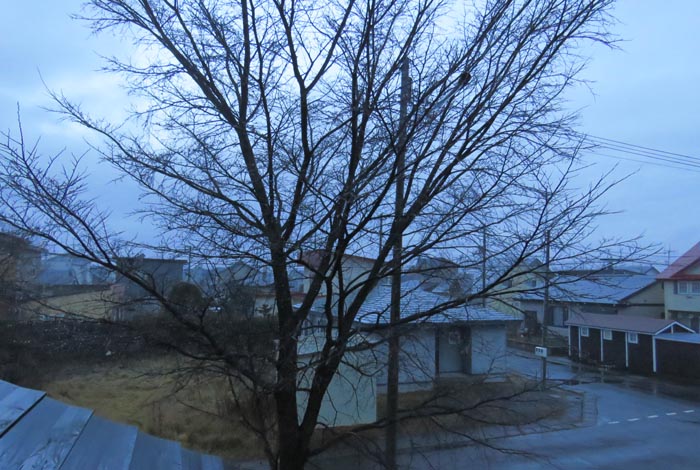 webnews�����̖k���^���̋�