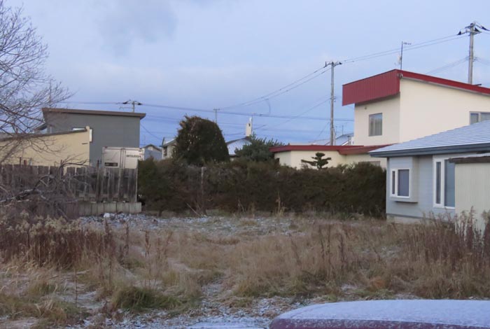 webnews�����̖k��