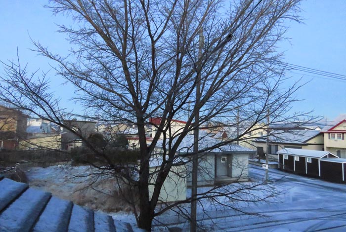 webnews�����̖k���^���̋�