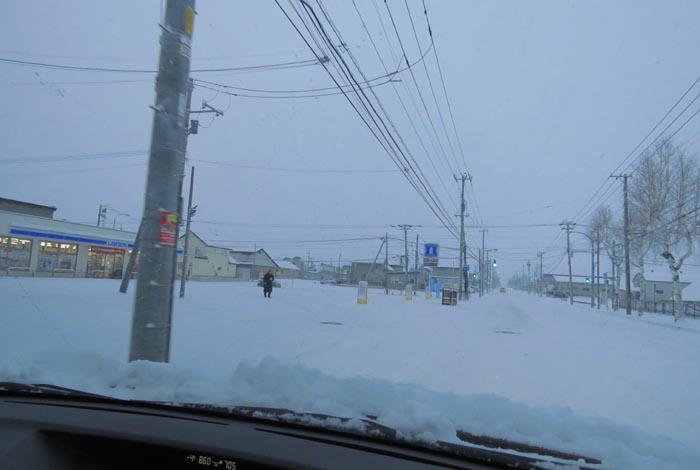 webnews�����̖k���^��ݒʂ�A���T���������_