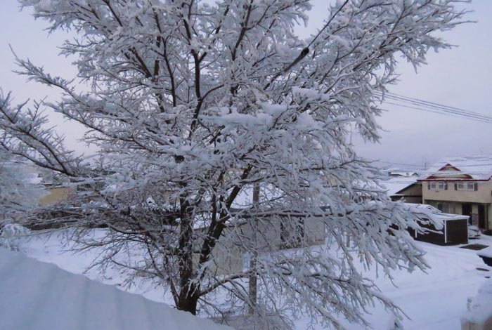 webnews�����̖k���^���̋�