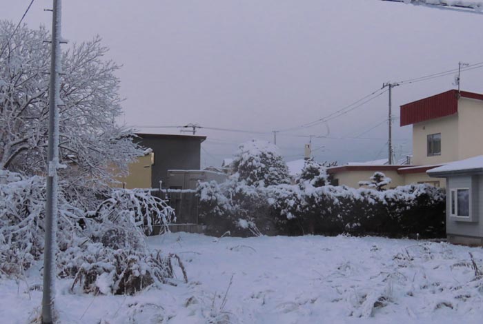 webnews�����̖k��