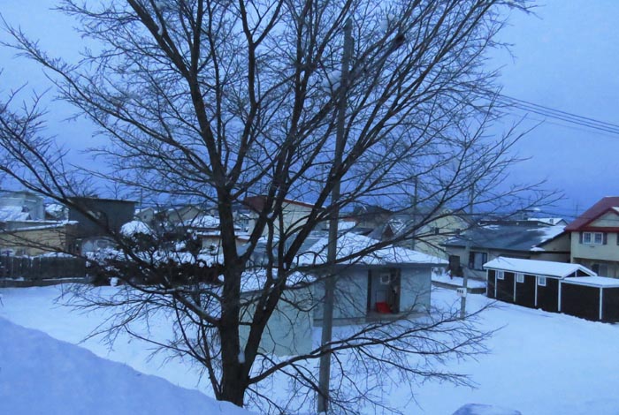 webnews�����̖k���^���̋�