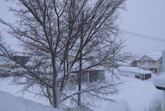 webnews�����̖k���^���̋�