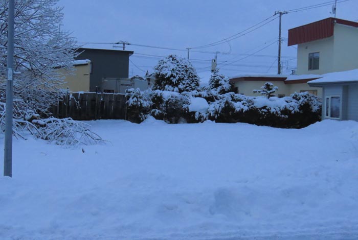 webnews�����̖k��