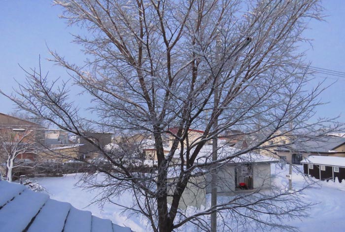 webnews�����̖k���^���̋�