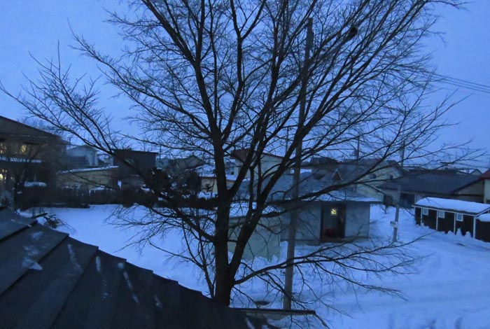 webnews�����̖k���^���̋�