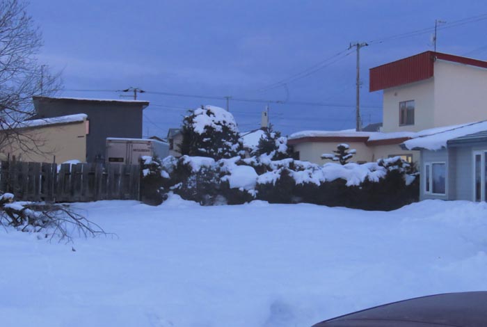 webnews�����̖k��