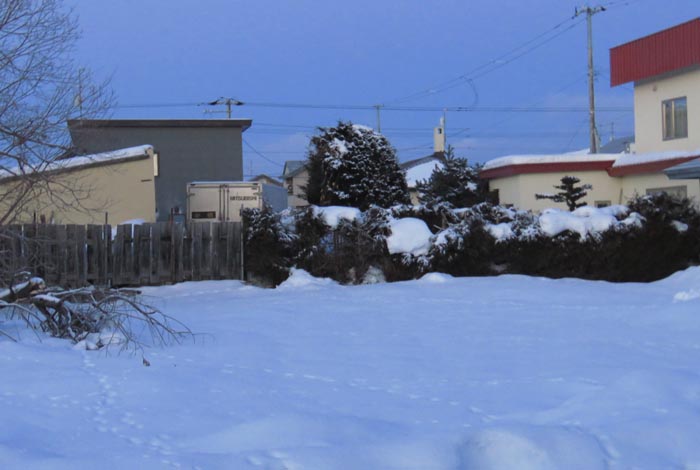 webnews�����̖k��