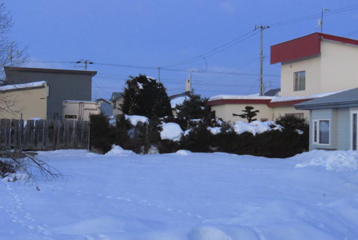 webnews�����̖k��